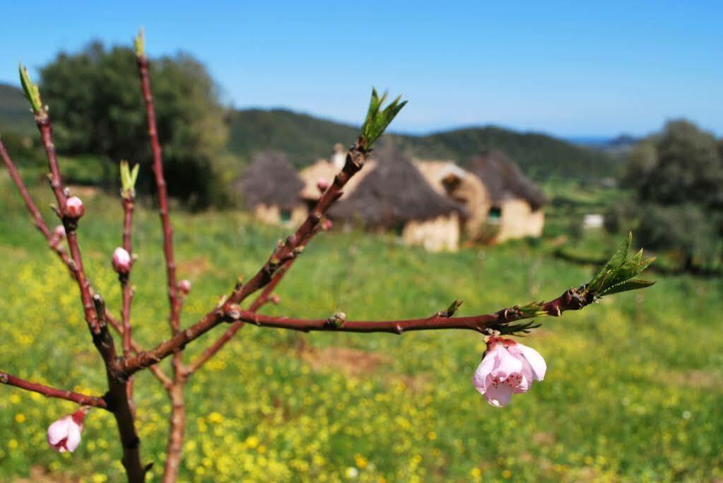Essenza Sardegna Hotel Torpe Luaran gambar